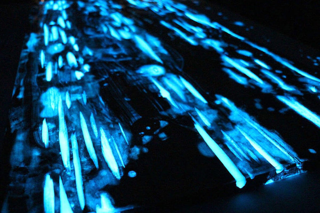Pigment fosforescent glow in the dark ALBASTRU 25g