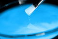 Pigment fosforescent glow in the dark ALBASTRU 25g