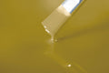 RAL 1024 Galben-Ocru 100 g