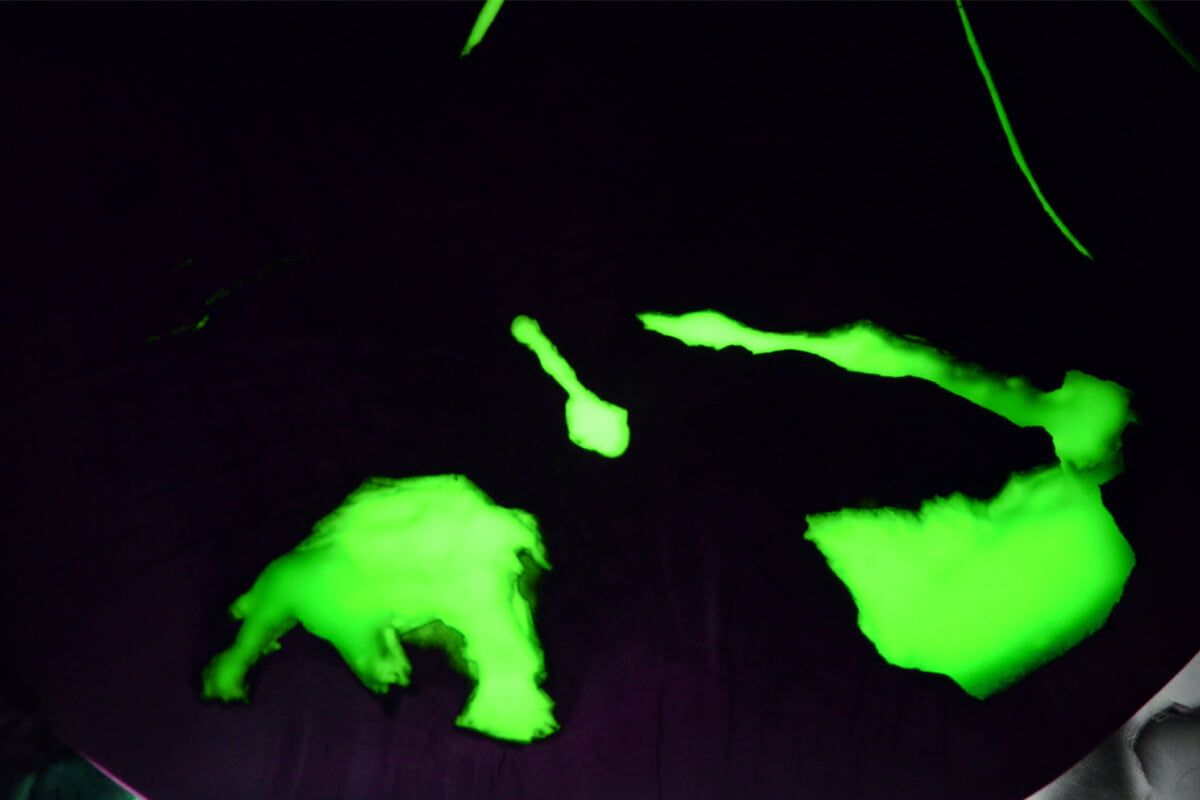 Pigment fosforescent glow in the dark VERDE 25g