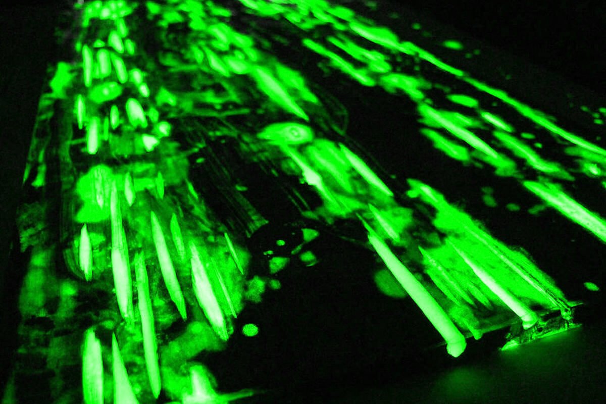 Pigment fosforescent glow in the dark VERDE 25g