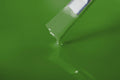 RAL 6010 Verde Gazon 100 g