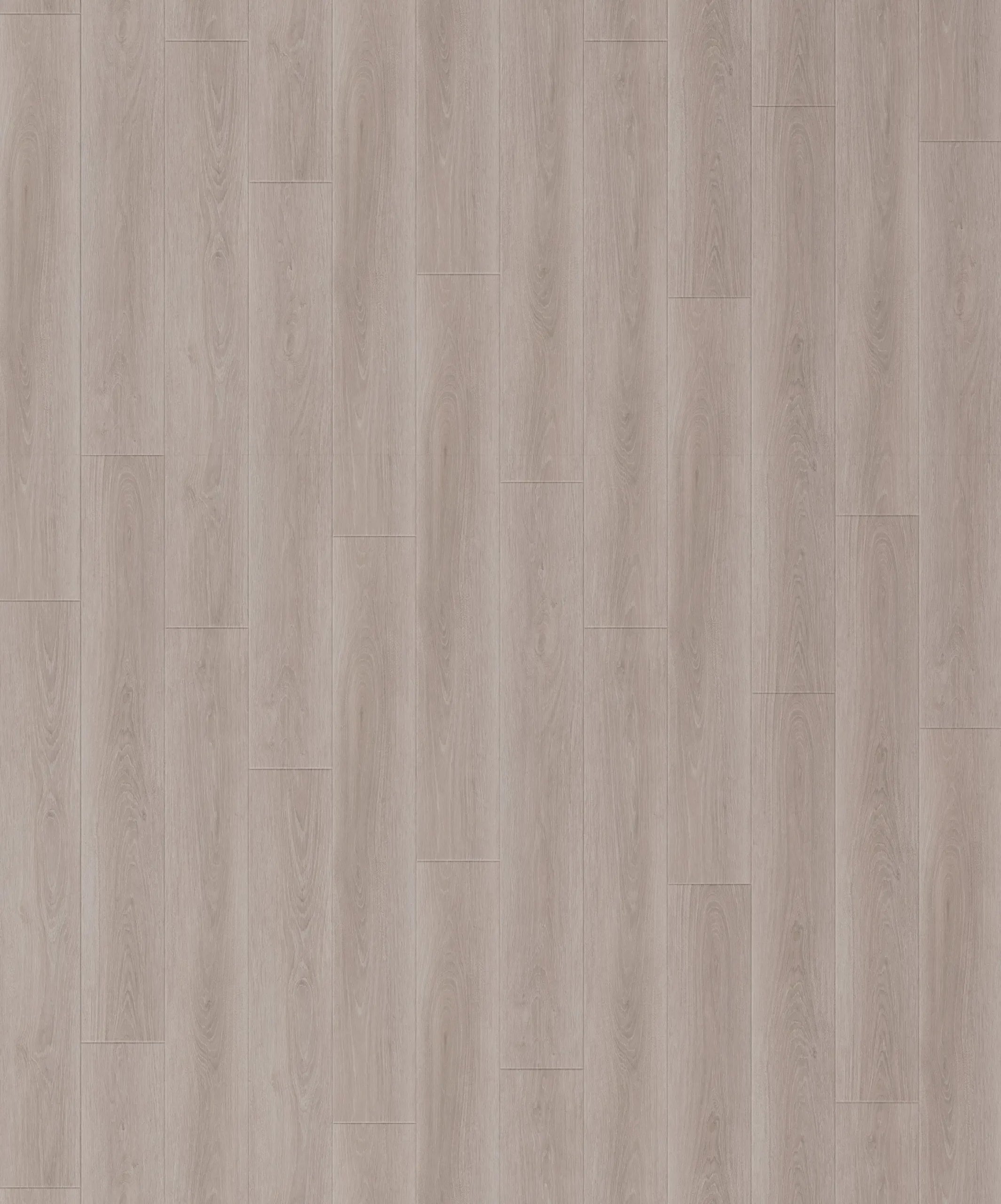 Parchet SPC Republic Floor Wolf Cringe 4,5 mm