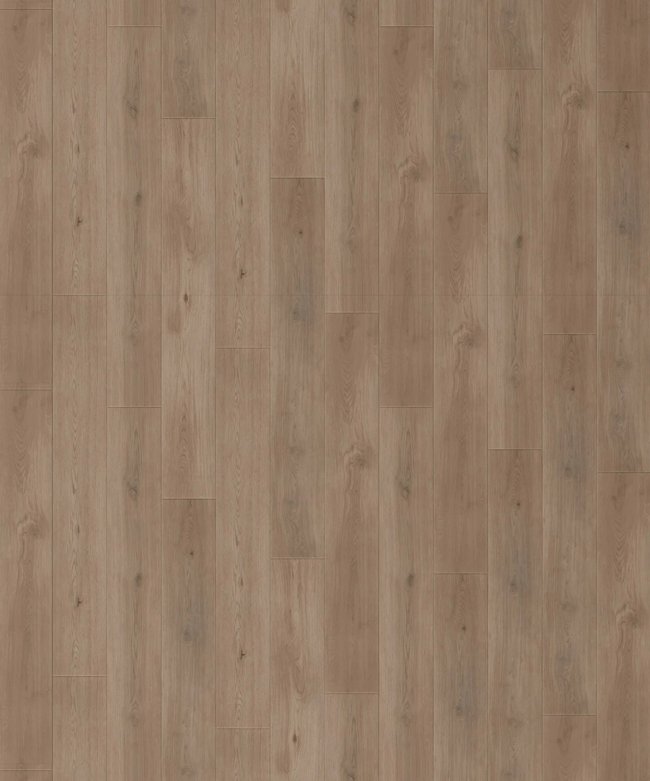 Parchet SPC Republic Floor Wolf On Fleek 4,5 mm